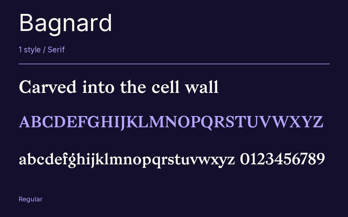 Bagnard type specimen with letters and figures