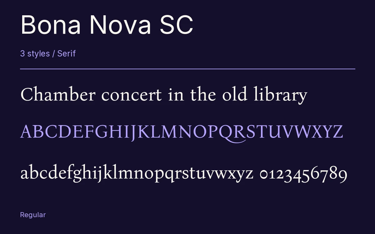Bona Nova SC type specimen with letters and figures
