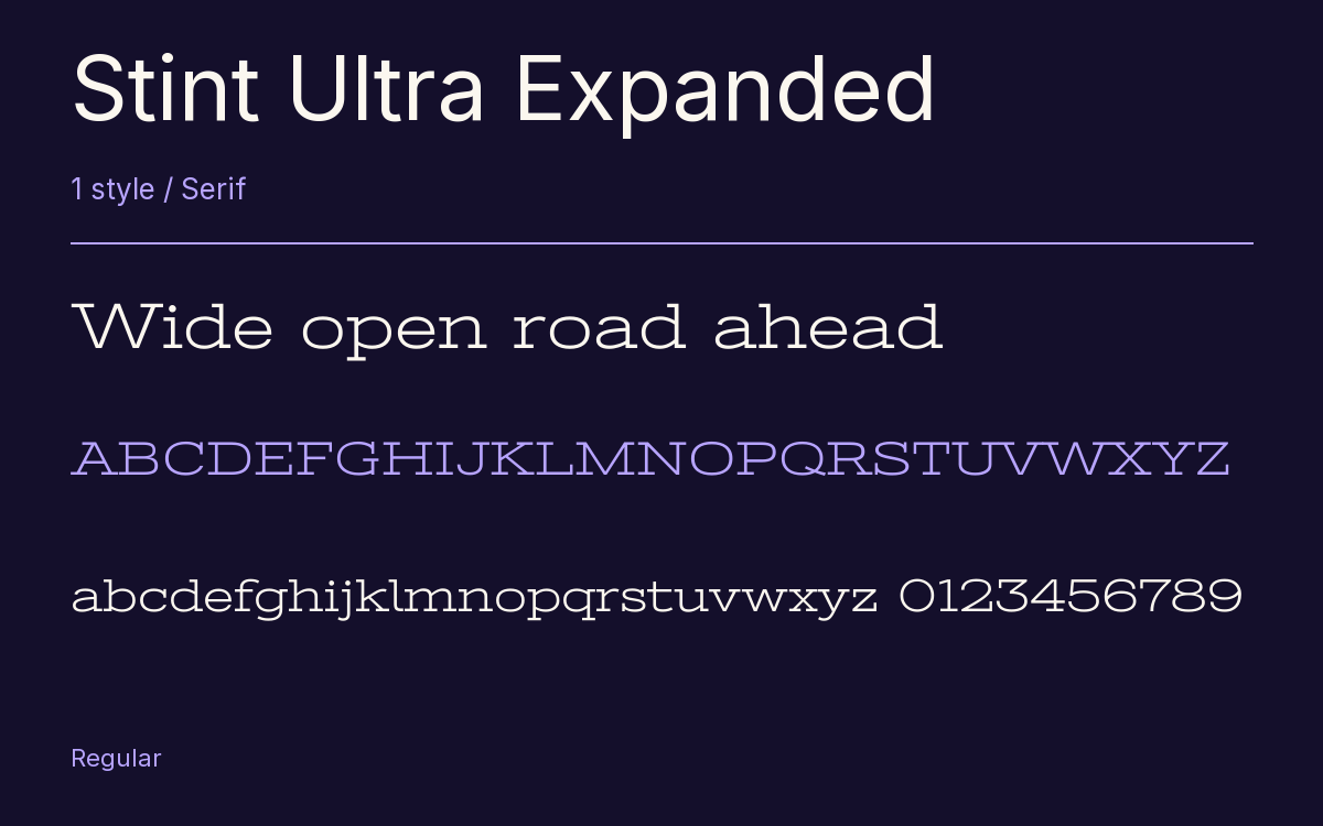 Stint Ultra Expanded type specimen with letters and figures